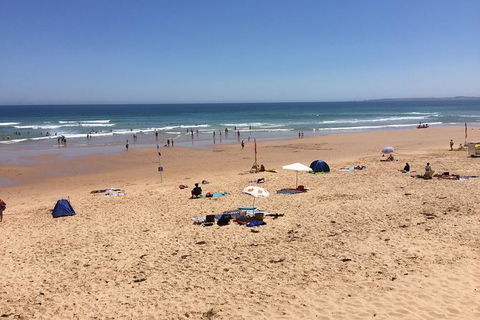 Day Tour Of Phillip Island & Surrounding Region - eAccommodation 7