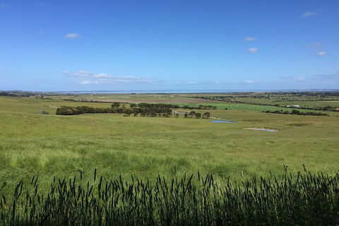 Day Tour Of Phillip Island & Surrounding Region - eAccommodation 4