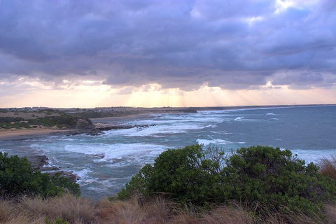 Day Tour Of Phillip Island & Surrounding Region - eAccommodation 12