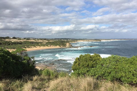 Day Tour Of Phillip Island & Surrounding Region - eAccommodation 10