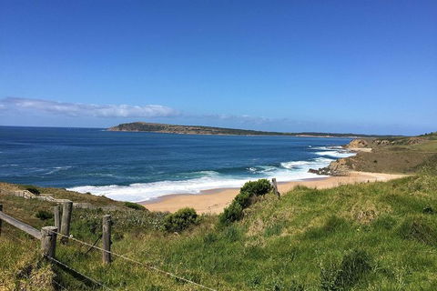 Day Tour Of Phillip Island & Surrounding Region - eAccommodation 5
