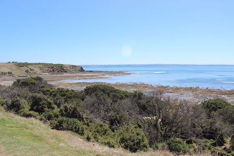 Day Tour Of Phillip Island & Surrounding Region - eAccommodation 2
