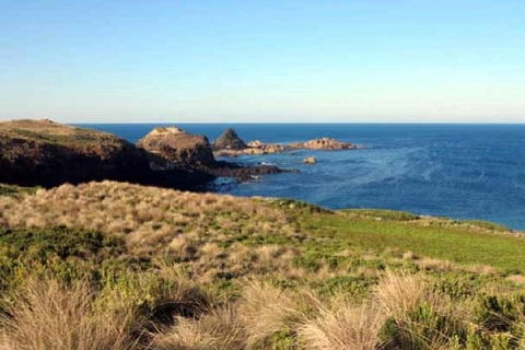 Phillip Island Walking & Bird Watching Tour - eAccommodation 0