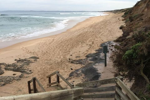 Phillip Island Walking & Bird Watching Tour - eAccommodation 3