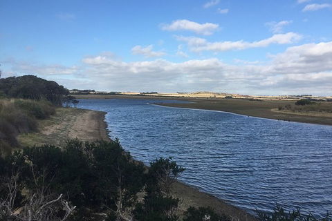 Phillip Island Walking & Bird Watching Tour - eAccommodation 7