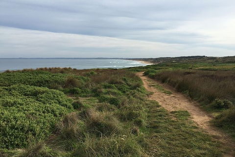 Phillip Island Walking & Bird Watching Tour - eAccommodation 5