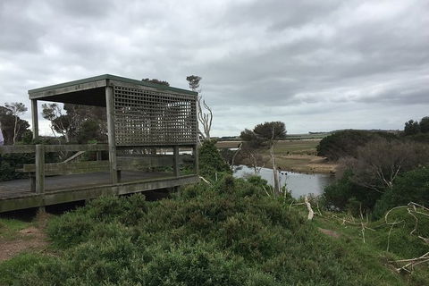 Phillip Island Walking & Bird Watching Tour - eAccommodation 2