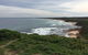 Phillip Island Walking & Bird Watching Tour - thumb 1