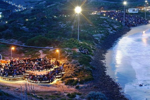 Private Phillip Island Penguin Tour With Personal Tour Guide - eAccommodation 3