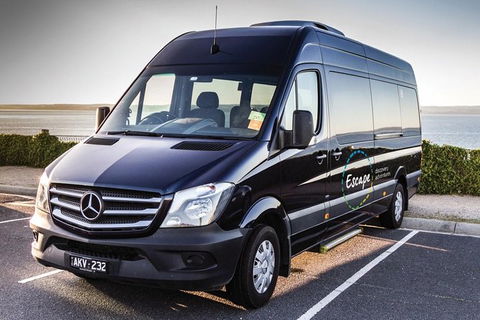 Pure Nature - Phillip Island, Penguins & Exclusive Wildlife Sanctuary Encounter - eAccommodation 3