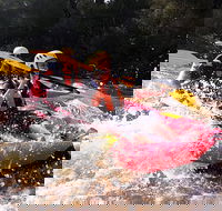 Whitewater Sports rafting on the Yarra river - eAccommodation