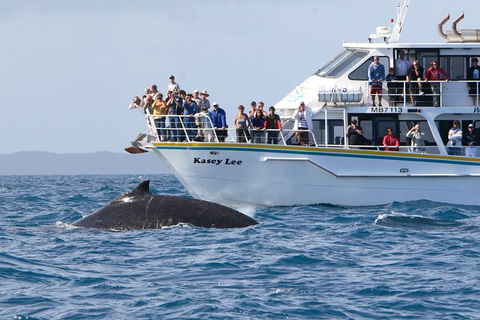 Phillip Island Whale Watching Tour - eAccommodation 2