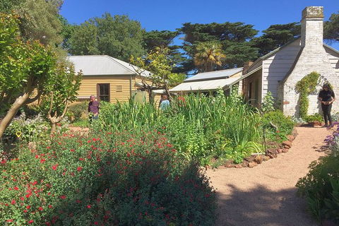 Phillip Island Tour Including Phillip Island Penguin Parade - eAccommodation 9