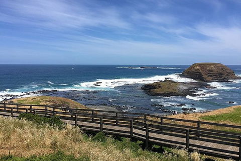 Phillip Island Tour Including Phillip Island Penguin Parade - eAccommodation 6