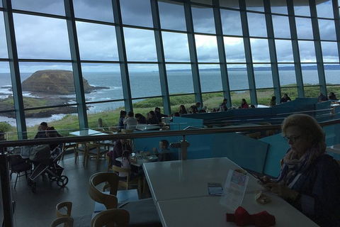 Phillip Island Tour Including Phillip Island Penguin Parade - eAccommodation 4