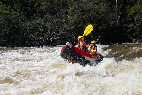 White-Water Kayaking On The Yarra River - eAccommodation 1