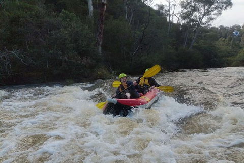 White-Water Kayaking On The Yarra River - eAccommodation 5