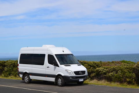 Private Great Ocean Road Tour From Melbourne - eAccommodation 1