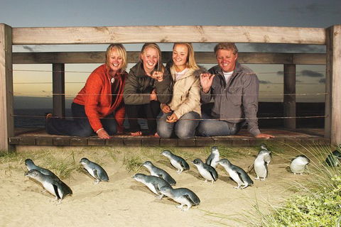 Phillip Island Nature Park Full-Day Tour From Melbourne - eAccommodation 0