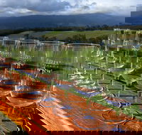 Yarra Valley Local Produce and Wine Tasting Tour - eAccommodation