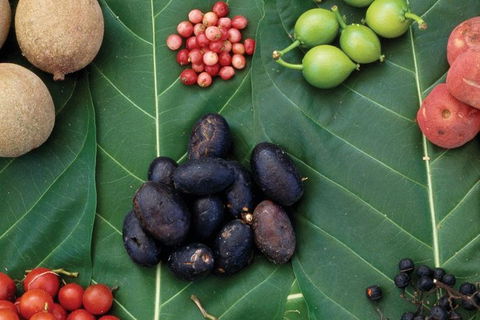 AUSTRALIAN NATIVE FOOD TOUR From Melbourne - eAccommodation 0