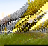 Overnight Daylesford and Macedon Ranges Gourmet Food Trail Tour from Melbourne - eAccommodation