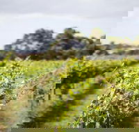 Phillip Island Wine Experience Tour - eAccommodation