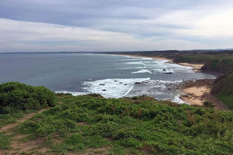 Half Day Phillip Island Woolamai Walking Tour - eAccommodation 0