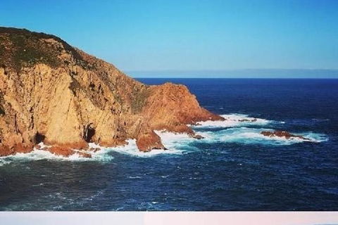 Half Day Phillip Island Woolamai Walking Tour - eAccommodation 1