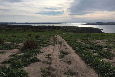 Half Day Phillip Island Woolamai Walking Tour - eAccommodation 8