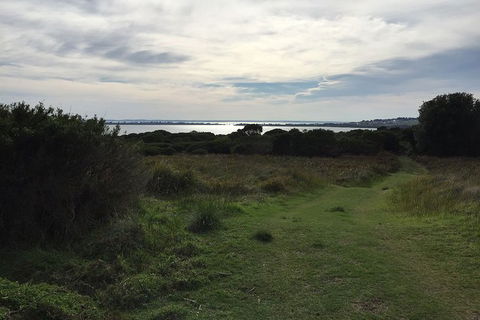 Half Day Phillip Island Woolamai Walking Tour - eAccommodation 4