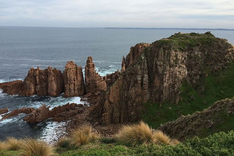 Half Day Phillip Island Woolamai Walking Tour - eAccommodation 16