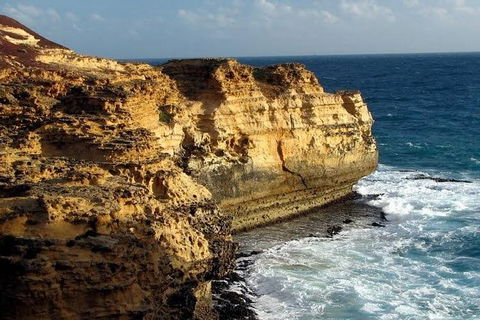 Half Day Phillip Island Woolamai Walking Tour - eAccommodation 12