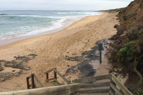 Half Day Phillip Island Woolamai Walking Tour - eAccommodation 11