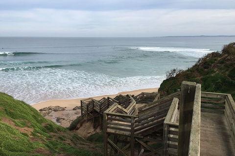 Half Day Phillip Island Woolamai Walking Tour - eAccommodation 5