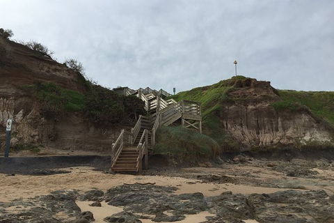 Half Day Phillip Island Woolamai Walking Tour - eAccommodation 14