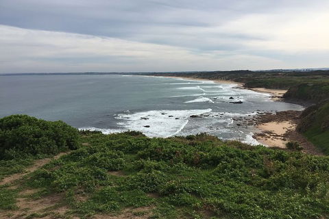 Half Day Phillip Island Woolamai Walking Tour - eAccommodation 10