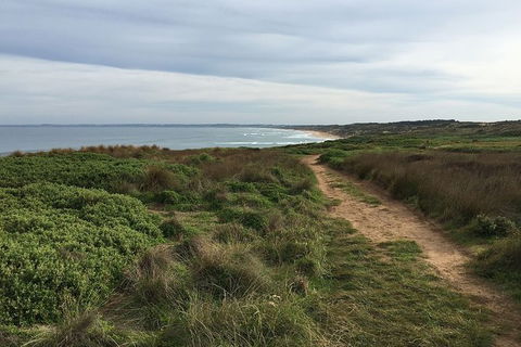 Half Day Phillip Island Woolamai Walking Tour - eAccommodation 3