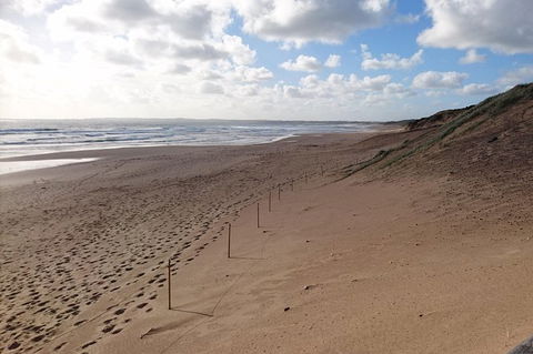 Half Day Phillip Island Woolamai Walking Tour - eAccommodation 7