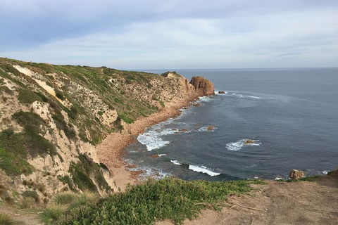 Half Day Phillip Island Woolamai Walking Tour - eAccommodation 2