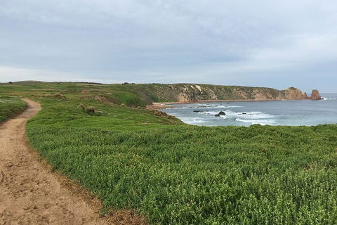 Half Day Phillip Island Woolamai Walking Tour - eAccommodation 9