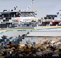 Phillip Island Seal-Watching Cruise - eAccommodation