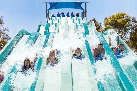 Adventure Park Geelong: General Admission Ticket - eAccommodation 1