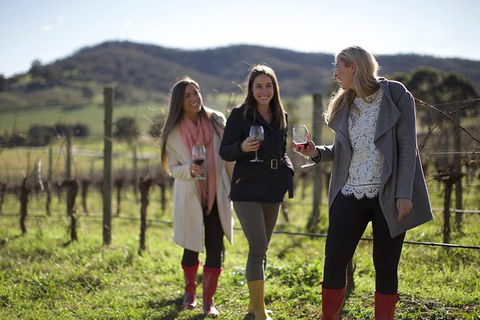 The Ultimate Yarra Valley Food And Wine Small Group Tour (Max 6 Guests) - eAccommodation 16