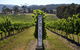 The Ultimate Yarra Valley Food And Wine Small Group Tour (Max 6 Guests) - thumb 27