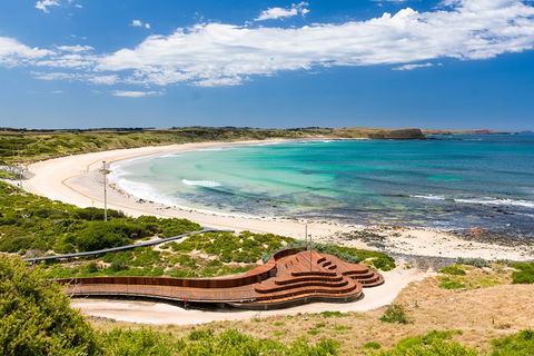 Phillip Island Penguin Parade, Brighton Bathing Boxes And Wildlife Park Tour - eAccommodation 6