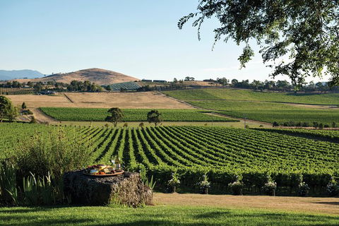Small Group 6 Guests: Ultimate Yarra Valley Food And Wine - Mercedes Van - eAccommodation 5