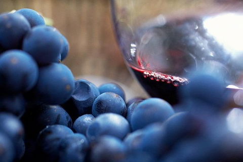 Small Group 6 Guests: Ultimate Yarra Valley Food And Wine - Mercedes Van - eAccommodation 4