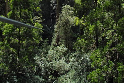 Adventure Sunset Three Day Great Ocean Road Tour - eAccommodation 7