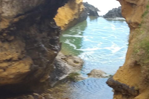 Adventure Sunset Three Day Great Ocean Road Tour - eAccommodation 17